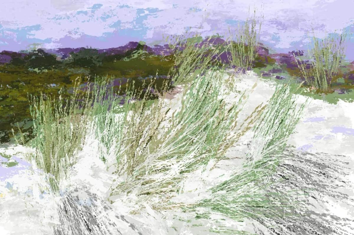 Ameland, de duinen, Instagram-post van Rinke Baaima