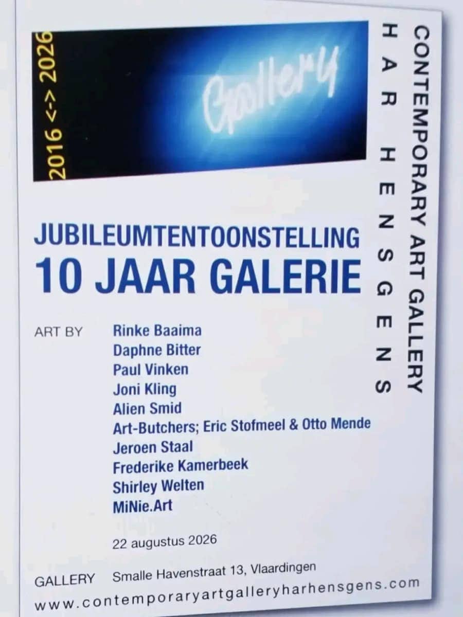 De Scheidslijn in Vlaardingen, foto 8