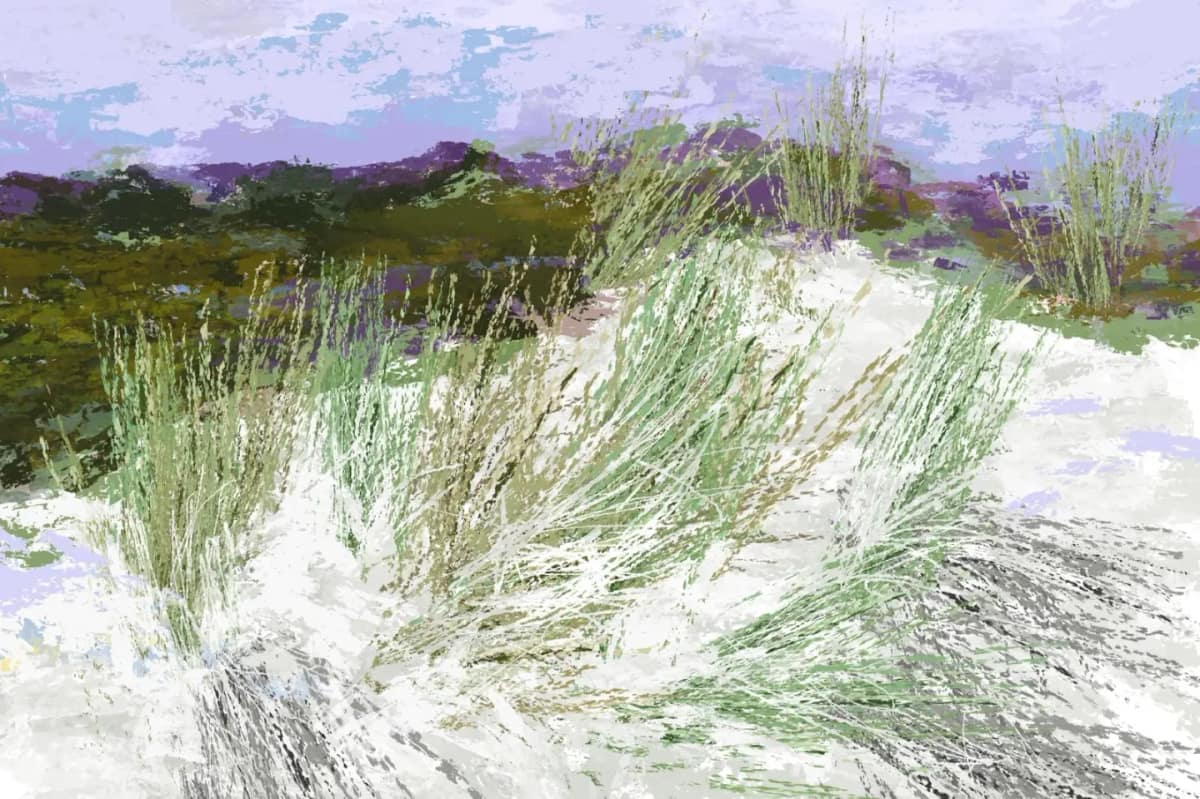 Ameland, de duinen door Rinke Baaima