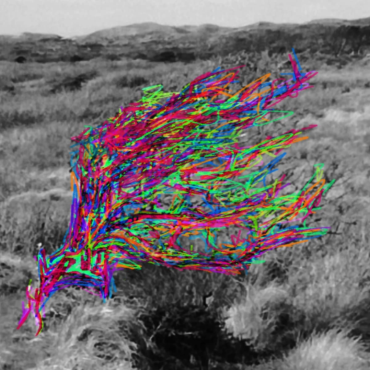 Meebuigen met de wind, mixed media door Rinke Baaima